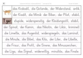 Vorschau - Arbeitsblätter - Konzentriertes Wortschatz- und Rechtschreibtraining - Wörter mit langem i zwischen zwei Konsonanten - Seite 2