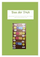 Vorschau - Stundenentwürfe - Genetik: Bau der DNA (Kl, 9/10, Legemodell, Dialog James Watson und Francis Crick, Gruppenarbeit) - Deckblatt