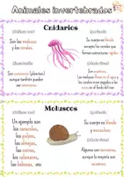 Vista previa - Hojas de trabajo - Animales invertebrados - página 1