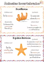 Vista previa - Hojas de trabajo - Animales invertebrados - página 3