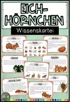 Vorschau - Text - Eichhörnchen - Wissenskartei - Deckblatt