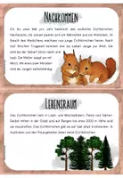 Vorschau - Text - Eichhörnchen - Wissenskartei - Seite 3