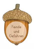 Vorschau - Unterrichtsreihen - Eichhörnchen Reihentransparenz - Seite 3