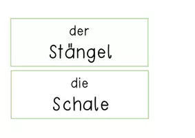 Vorschau - Präsentationen/Tafelbilder - Der Kürbis / Tafelmaterial (Wort- & Bildkarten) zum Kürbis - Seite 3