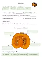Vorschau - Arbeitsblätter - Der Kürbis - Arbeitsblätter (Aufbau des Kürbisses, Lückentext, Suchsel, ...) - Seite 2