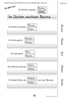 Vorschau - Arbeitsblätter - Welches Wort stimmt? Sätze vervollständigen (Leseverständnis, Wortarten, DaZ/DaF, Abschreibübungen) - Seite 1