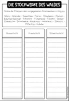 Vorschau - Arbeitsblätter - Die Stockwerke des Waldes - Arbeitsblätter + Lösungen - Seite 3