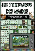 Vorschau - Arbeitsblätter - Materialpaket - Die Stockwerke des Waldes (Wissenskartei und Forschungsheft) - Seite 1