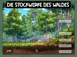 Vorschau - Präsentationen/Tafelbilder - Die Stockwerke des Waldes - Wissenskartei (analoge und digitale/interaktive PDF) - Seite 3
