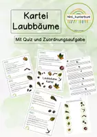 Vorschau - Arbeitsblätter - Unterrichtsreihe Laubbäume, ihre Früchte und Blätter - Seite 1
