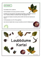 Vorschau - Arbeitsblätter - Laubbäume Kartei - Seite 3