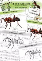 Vorschau - Arbeitsblätter - Die Rote Waldameise Körperbau - Übersichtsblätter - Deckblatt