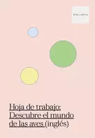 Vista previa - Hojas de trabajo - Hoja de trabajo: Descubre el mundo de las aves (inglés) - página 2