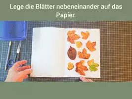 Vorschau - Bildkarten - So werden Blätter zum Pressen vorbereitet! - Deckblatt