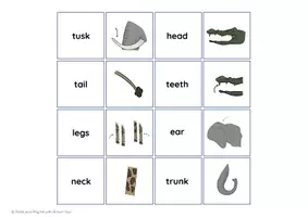 Aperçu - Feuilles d'exercices - Zoo Animals - BODY PARTS game of pairs - Page 1