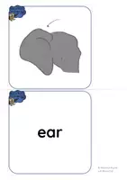 Aperçu - Apprentissages en autonomie - Zoo Animals - BODY PARTS Beebot Cards - Page 3