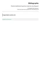 Aperçu - Apprentissages en autonomie - Pretérito Indefinido & Imperfecto: Laberinto; Jeux (Espanol) - Page 1