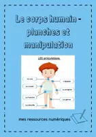 Aperçu - Apprentissages en autonomie - Le corps humain - planches et manipulation - Page 1