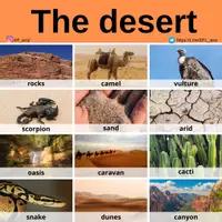 Aperçu - Affichage - The desert - Page de couverture