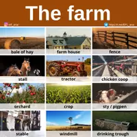 Aperçu - Affichage - The farm - Page de couverture