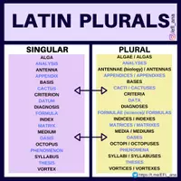 Aperçu - Affichage - LATIN PLURALS - Page de couverture