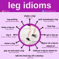 Aperçu - Affichage - Leg idioms - Page de couverture