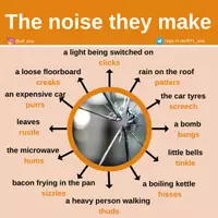 Aperçu - Affichage - The noise they make - Page de couverture