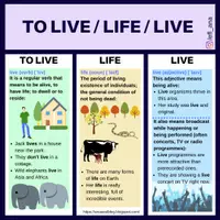 Aperçu - Affichage - TO LIVE - LIFE - LIVE - Page de couverture