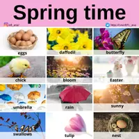 Aperçu - Affichage - Spring time - Page de couverture