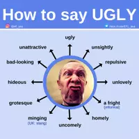 Aperçu - Affichage - How to say UGLY - Page de couverture
