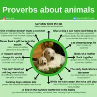Aperçu - Affichage - Proverbs 2 animals - Page de couverture
