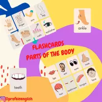 Aperçu - Affichage - Flashcards des parties du corps en anglais! - Page de couverture