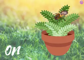Aperçu - Jeux - KIT PÉDAGOGIQUE! Fun Prespositions with Bugs and Insects - Flashcards and Animated Slides - Page 2