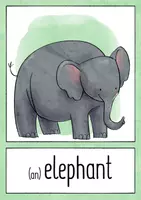 Aperçu - Inclusion - Animals - Flashcards and Poster - Page 2