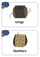 Aperçu - Feuilles d'exercices - Brown Owl - BODY PARTS BUNDLE - Page 2