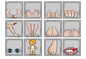 Aperçu - Apprentissages en autonomie - Body - Matching pairs / Memory® - Page 2