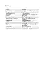 Aperçu - Fiches - De qué discuten padres e hijos - Resumen - Page 2