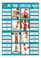 Vista previa - Tarjetas / Manipulativos - Clip Cards At the circus English Inglés - página 2