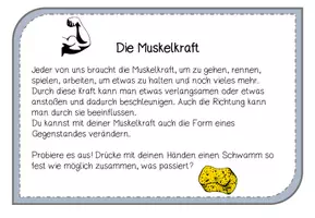 Vorschau - Arbeitsblätter - Sparpaket Kräfte und ihre Wirkungen - Seite 3
