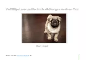 Vorschau - Arbeitsblätter - Der Hund - Vielfältige Lese und Rechtschreibübungen an EINEM Text - Lesefertigkeiten und Lesefähigkeiten trainieren - Deckblatt