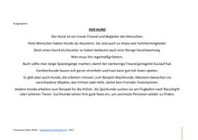 Vorschau - Arbeitsblätter - Der Hund - Vielfältige Lese und Rechtschreibübungen an EINEM Text - Lesefertigkeiten und Lesefähigkeiten trainieren - Seite 1