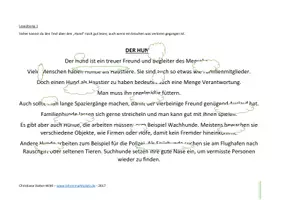 Vorschau - Arbeitsblätter - Der Hund - Vielfältige Lese und Rechtschreibübungen an EINEM Text - Lesefertigkeiten und Lesefähigkeiten trainieren - Seite 2