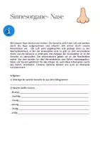 Vista previa - Hojas de trabajo - Hoja de trabajo: Órganos sensoriales - nariz (alemán) - página 1