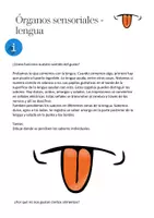 Vista previa - Hojas de trabajo - Hoja de trabajo: Órganos de los sentidos - Lengua - Portada