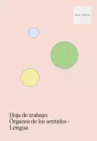 Vista previa - Hojas de trabajo - Hoja de trabajo: Órganos de los sentidos - Lengua - página 2