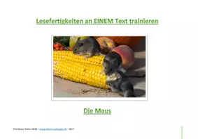 Vorschau - Arbeitsblätter - Tierische Lese- und Rechtschreibübungen - Seite 1