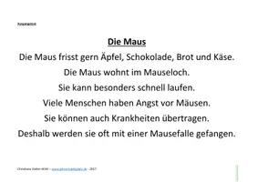 Vorschau - Arbeitsblätter - Tierische Lese- und Rechtschreibübungen - Seite 2