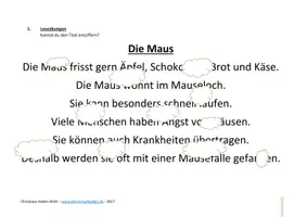 Vorschau - Arbeitsblätter - Tierische Lese- und Rechtschreibübungen - Seite 3