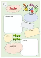 Vista previa - Hojas de trabajo - Ficha técnica árboles de hoja caduca - roble - página 1
