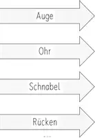 Vorschau - Bildkarten - Tafelmaterial - Bild- und Wortkarten Pinguin (Körperbau + Leben) - Seite 1